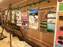 event setup kuching